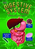 Your Digestive System: Understand It with Numbers