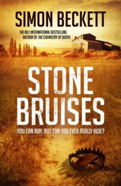 Stone Bruises - Beckett, Simon