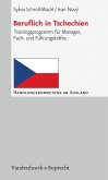 Beruflich in Tschechien (eBook, PDF)