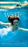 Wake (eBook, ePUB)
