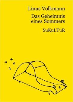 Das Geheimnis eines Sommers (eBook, ePUB) - Volkmann, Linus