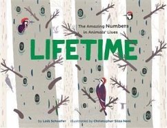 Cover Lifetime (eBook, ePUB)