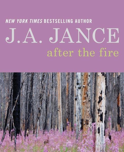 After the Fire (eBook, ePUB)