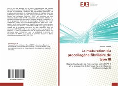 La maturation du procollagène fibrillaire de type III - Afrache, Hassnae