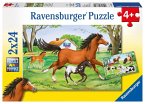 Ravensburger 08882 - Welt der Pferde