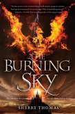 The Burning Sky (eBook, ePUB)