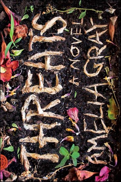 Threats (eBook, ePUB)