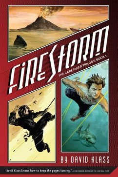 Firestorm (eBook, ePUB) - Klass, David