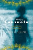 The Meaning of Consuelo (eBook, ePUB)