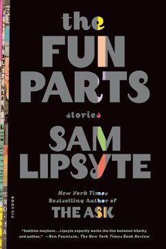 The Fun Parts (eBook, ePUB) - Lipsyte, Sam