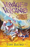 Voyage to the Volcano (eBook, ePUB)
