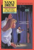 The Secret in the Dark (eBook, ePUB)