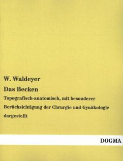 Das Becken - Waldeyer, W.