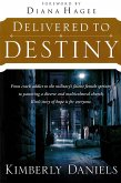 Delivered To Destiny (eBook, ePUB)