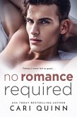 No Romance Required (eBook, ePUB)