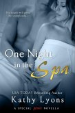 One Night in the Spa (eBook, ePUB)