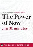 The Power of Now in 30 Minutes (eBook, ePUB)