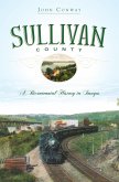 Sullivan County (eBook, ePUB)