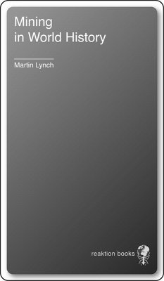 Mining in World History (eBook, ePUB) - Martin Lynch, Lynch