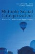Multiple Social Categorization (eBook,... - Bild 1