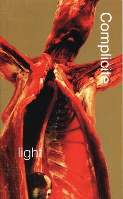 Light (eBook, ePUB) - Lindgren, Torgny