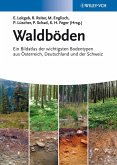 Waldböden (eBook, PDF)