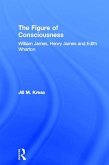 The Figure of Consciousness (eBook, ePUB)