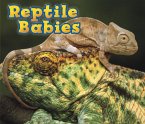 Reptile Babies (eBook, PDF)