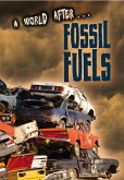 Fossil Fuels (eBook, PDF)