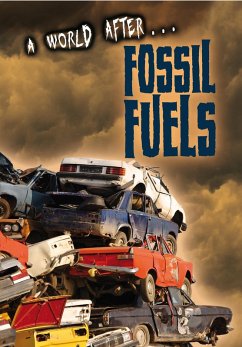 Cover Fossil Fuels (eBook, PDF)