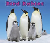 Bird Babies (eBook, PDF) Bird Babies (eBook, PDF)