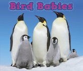 Bird Babies (eBook, PDF)