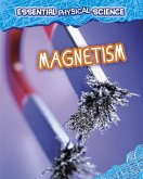 Magnetism (eBook, PDF)