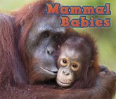 Mammal Babies (eBook, PDF)