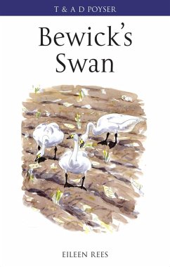 Bewick's Swan (eBook, PDF) - Rees, Eileen
