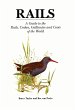 Rails (eBook, PDF) - Bild 1