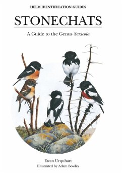 Cover Stonechats (eBook, PDF)
