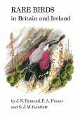 Rare Birds in Britain and Ireland (eBook, PDF)