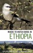 Where to Watch Birds in Ethiopia... - Bild 1