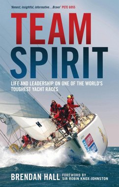 Cover Team Spirit (eBook, PDF)