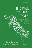 The Fall of the Celtic Tiger (eBook, ePUB)