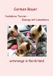 Yorkshire Terrier - Zwerge mit... - Bild 1
