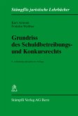 Grundriss des Schuldbetreibungs- und Konkursrechts