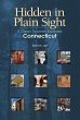 Hidden in Plain Sight (eBook, ePUB) - Bild 1