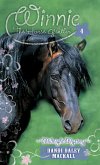 Midnight Mystery (eBook, ePUB) Midnight Mystery (eBook, ePUB)