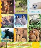 Baby Animals in the Wild (eBook, ePUB)