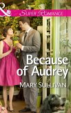 Because of Audrey (eBook, ePUB)