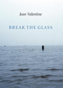 Cover Break the Glass (eBook, ePUB)