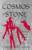 A Cosmos in Stone (eBook, ePUB)