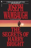 The Secrets of Harry Bright (eBook, ePUB)